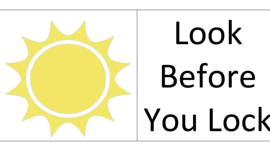 Picture3